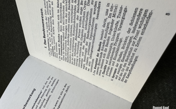 Merkblatt 69/2 Bandenbekämpfung