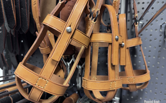 CSR field bottle strap