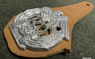 The Rapid Division was a motorized Slovak division fighting on the Eastern Front on the side of the Axis troops.