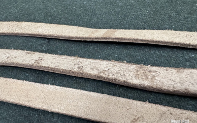 Economy Equipment Riemen strap 3x