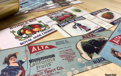 Set of 12pcs labels 1910a
