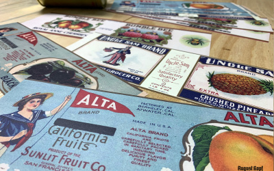 Set of 12pcs labels 1910a