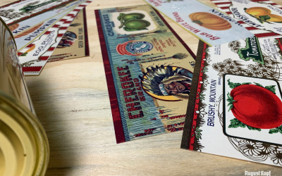 Set of 12pcs labels 1910b