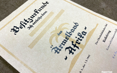 Ärmelband Afrika DAK certificate
