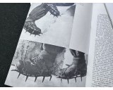 Der Bergsteiger magazine Oktober 1942