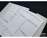 Kriegsstammrollenblatt - form 30pcs