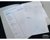 Truppenstammrollenblatt Auszug - 30pcs