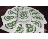 Fussgänger im Verkehr - pedestrian booklet