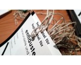 Set of 25 tags - Entlauste / Deloused