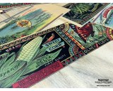 Set of 12pcs labels 1890