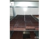 US D RATION MASTER CARTON 12x 4OZ  chocolate