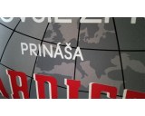 Poster 85x60cm Gardista