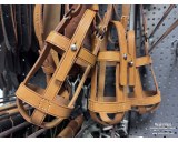 CSR field bottle strap