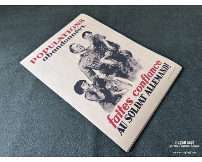 Poster 42x30cm French Campaign