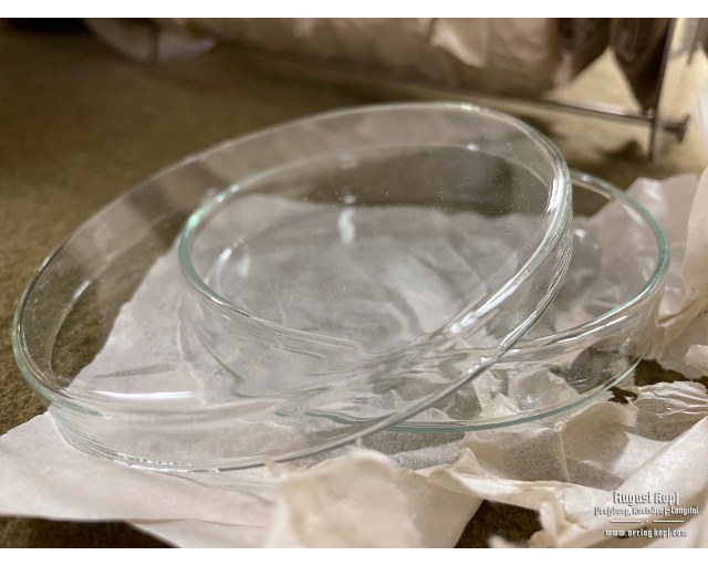 Vintage Petri dishes transport container with content