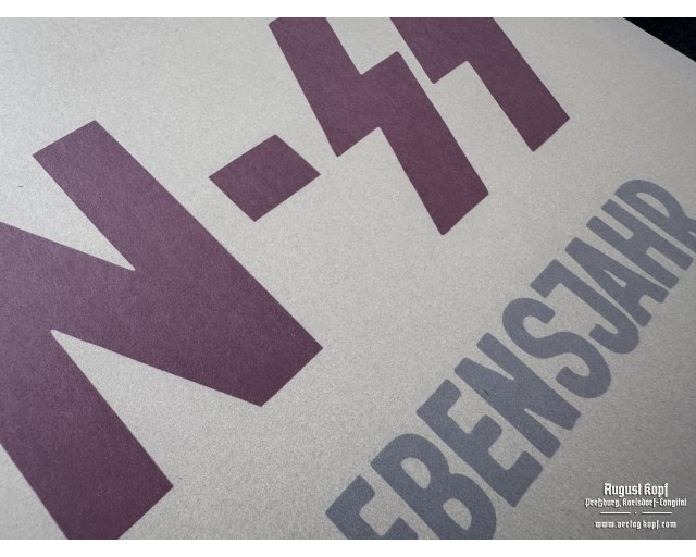 Poster 85x60cm Waffen-SS recruitment