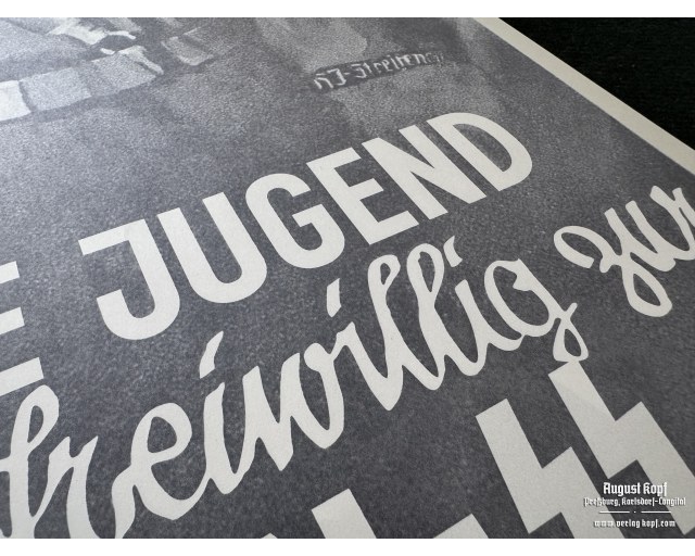 Poster 85x60cm Waffen-SS recruitment DJ