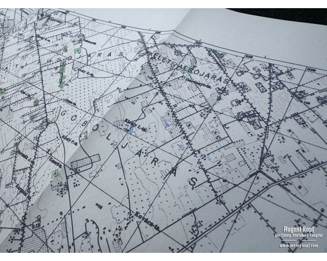 Hungarian map Bugac