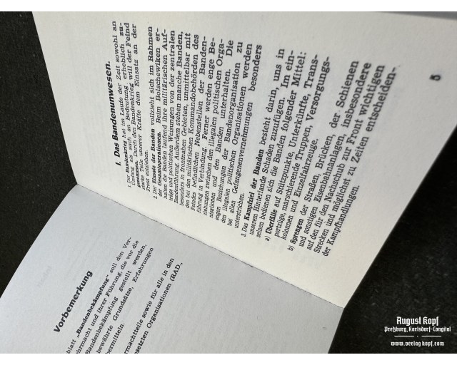 Merkblatt 69/2 Bandenbekämpfung
