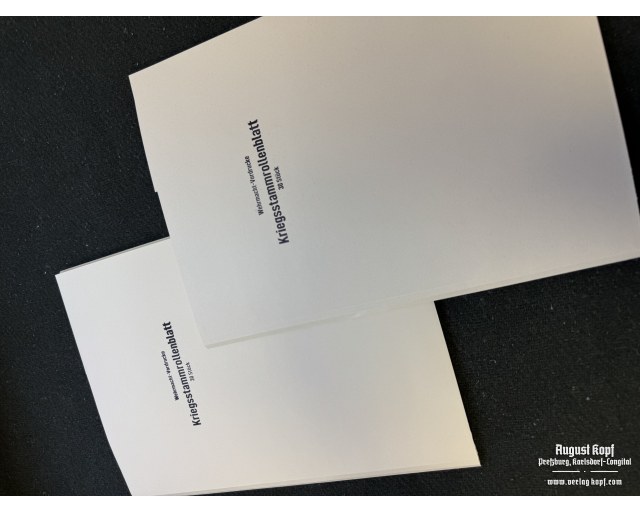 Kriegsstammrollenblatt - form 30pcs