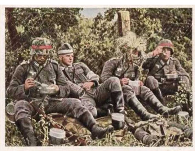 HELMBAND M36 set of 10pcs